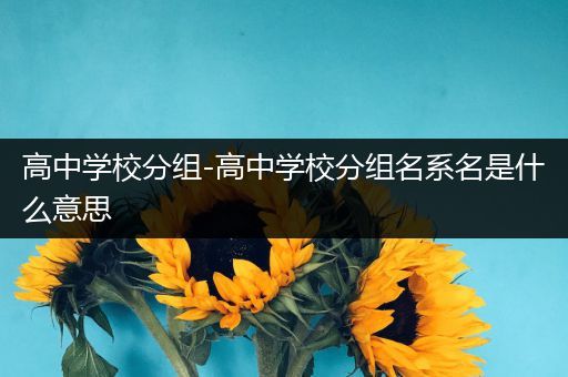 高中学校分组-高中学校分组名系名是什么意思