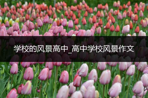 学校的风景高中_高中学校风景作文