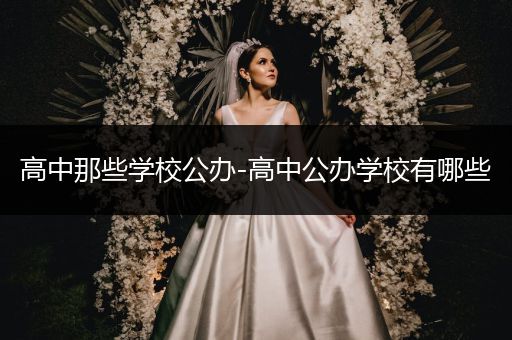 高中那些学校公办-高中公办学校有哪些