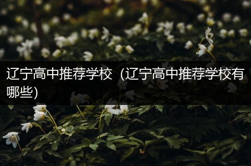 辽宁高中推荐学校（辽宁高中推荐学校有哪些）