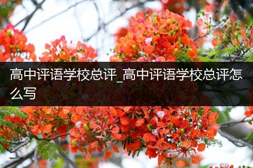 高中评语学校总评_高中评语学校总评怎么写