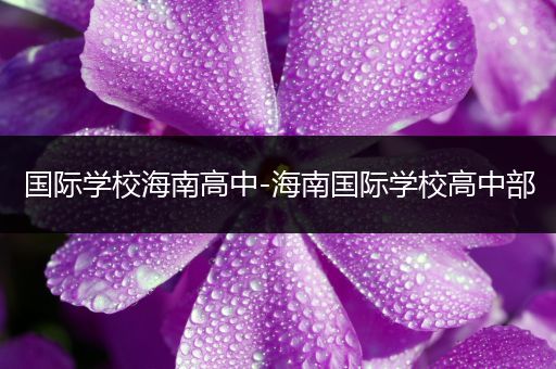 国际学校海南高中-海南国际学校高中部