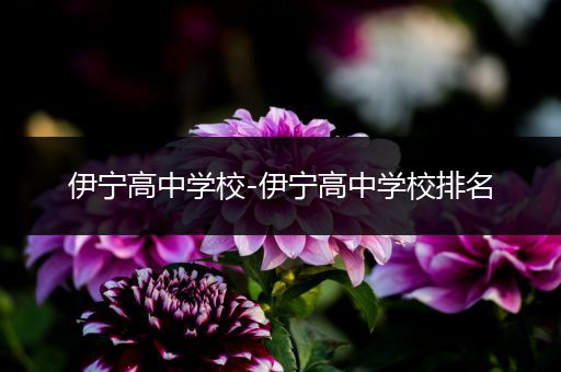 伊宁高中学校-伊宁高中学校排名