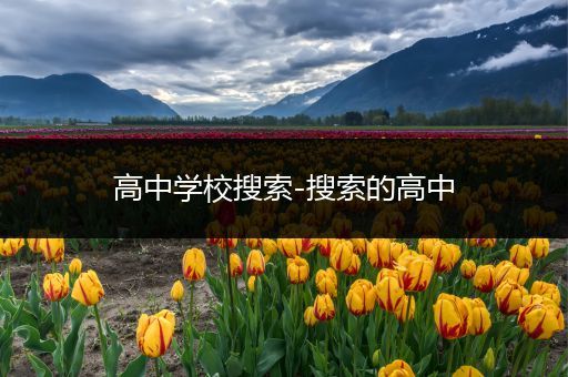 高中学校搜索-搜索的高中