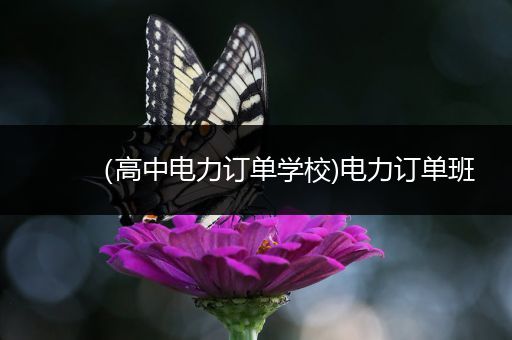 （高中电力订单学校)电力订单班