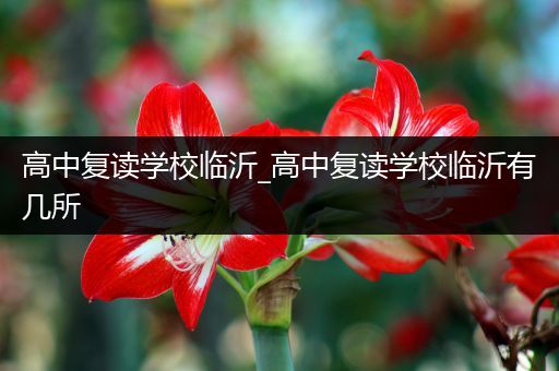 高中复读学校临沂_高中复读学校临沂有几所