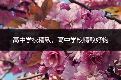 高中学校精致，高中学校精致好物