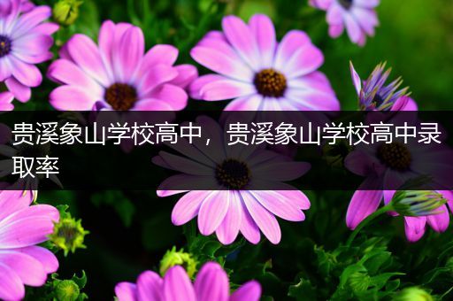 贵溪象山学校高中，贵溪象山学校高中录取率