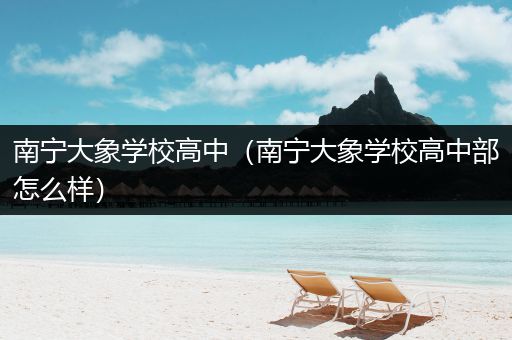 南宁大象学校高中（南宁大象学校高中部怎么样）