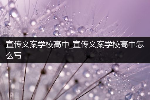 宣传文案学校高中_宣传文案学校高中怎么写