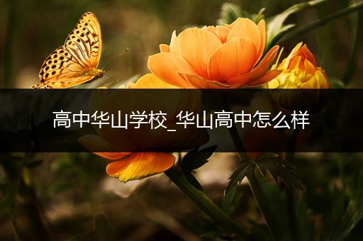高中华山学校_华山高中怎么样