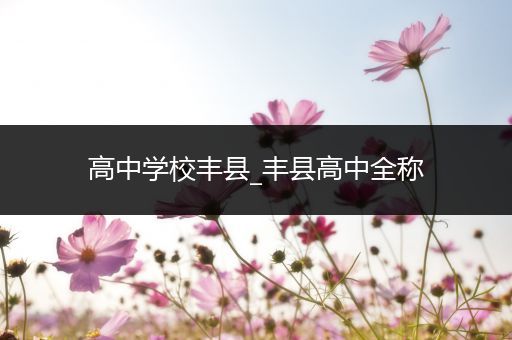 高中学校丰县_丰县高中全称