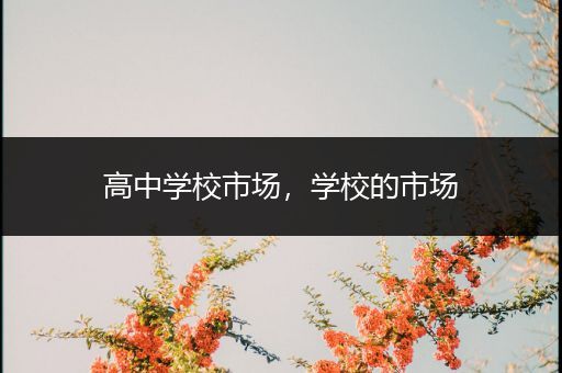 高中学校市场，学校的市场