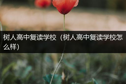 树人高中复读学校（树人高中复读学校怎么样）