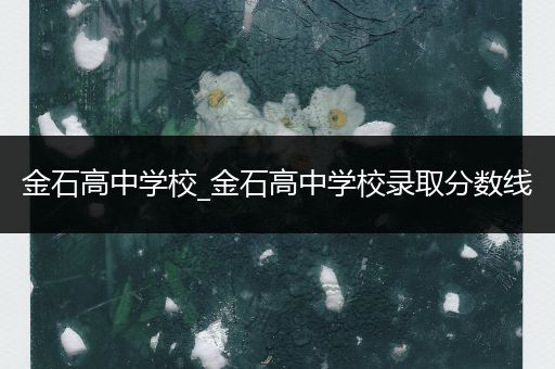 金石高中学校_金石高中学校录取分数线