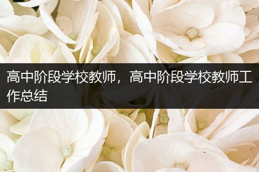 高中阶段学校教师，高中阶段学校教师工作总结