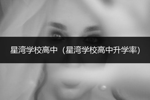 星湾学校高中（星湾学校高中升学率）