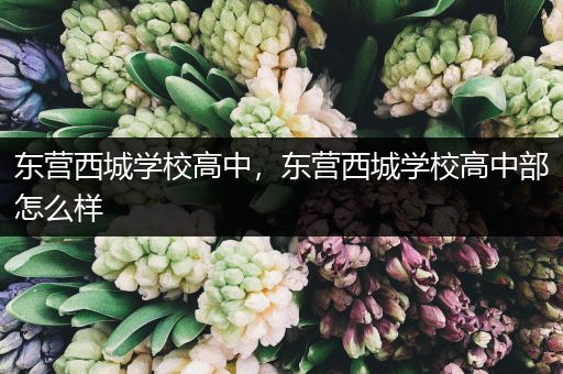 东营西城学校高中，东营西城学校高中部怎么样