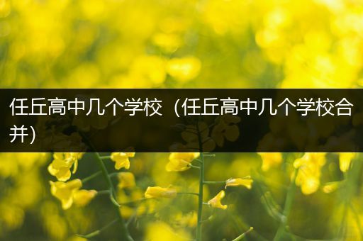 任丘高中几个学校（任丘高中几个学校合并）