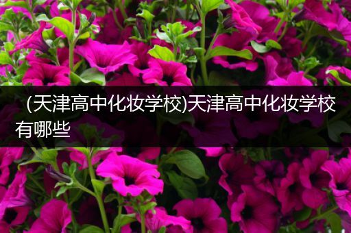 （天津高中化妆学校)天津高中化妆学校有哪些