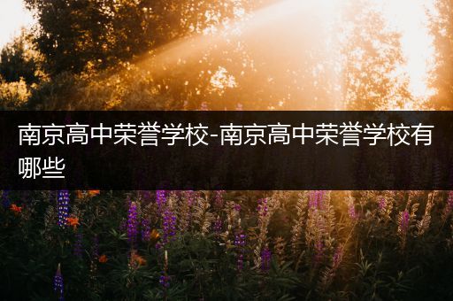 南京高中荣誉学校-南京高中荣誉学校有哪些