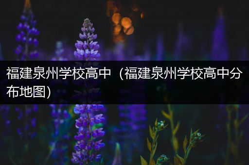 福建泉州学校高中（福建泉州学校高中分布地图）