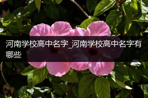 河南学校高中名字_河南学校高中名字有哪些