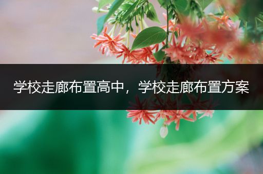 学校走廊布置高中，学校走廊布置方案