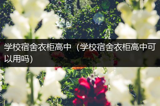 学校宿舍衣柜高中（学校宿舍衣柜高中可以用吗）