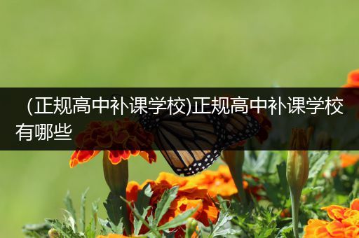 （正规高中补课学校)正规高中补课学校有哪些
