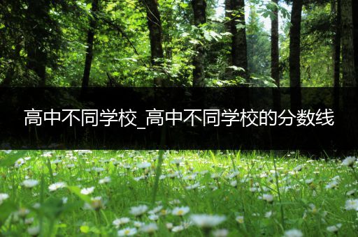 高中不同学校_高中不同学校的分数线