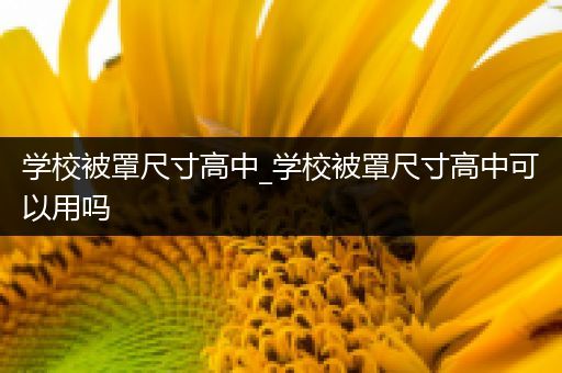 学校被罩尺寸高中_学校被罩尺寸高中可以用吗