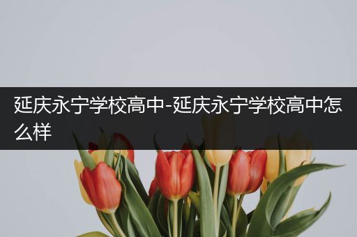 延庆永宁学校高中-延庆永宁学校高中怎么样