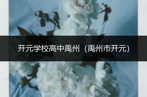 开元学校高中禹州（禹州市开元）