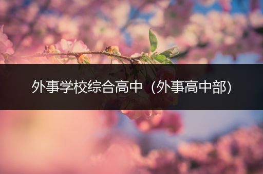 外事学校综合高中（外事高中部）