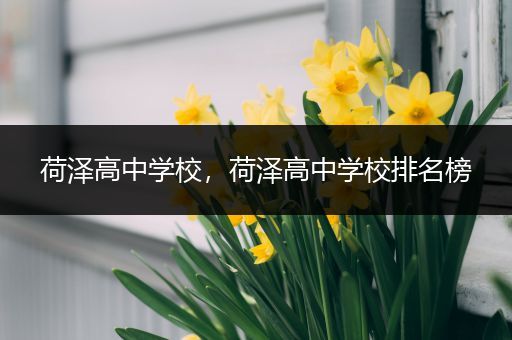 荷泽高中学校，荷泽高中学校排名榜