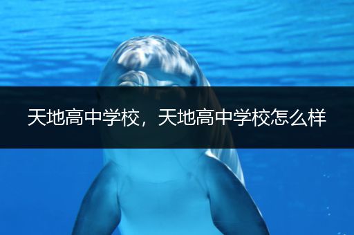 天地高中学校，天地高中学校怎么样