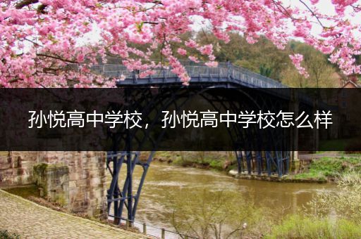 孙悦高中学校，孙悦高中学校怎么样