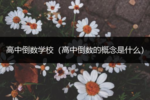 高中倒数学校（高中倒数的概念是什么）