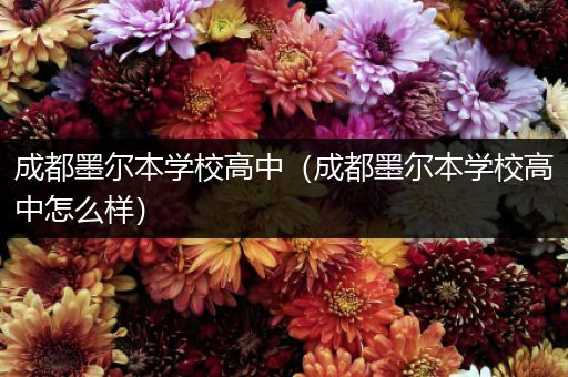 成都墨尔本学校高中（成都墨尔本学校高中怎么样）