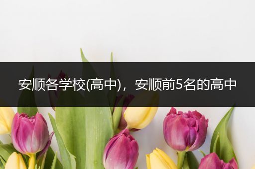 安顺各学校(高中)，安顺前5名的高中