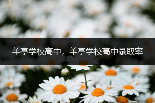 羊亭学校高中，羊亭学校高中录取率