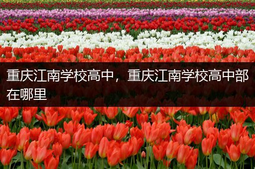 重庆江南学校高中，重庆江南学校高中部在哪里