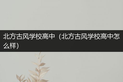 北方古风学校高中（北方古风学校高中怎么样）