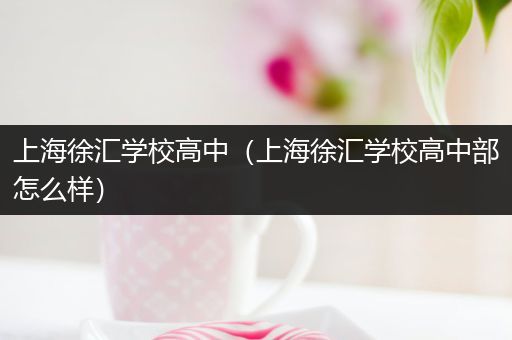 上海徐汇学校高中（上海徐汇学校高中部怎么样）