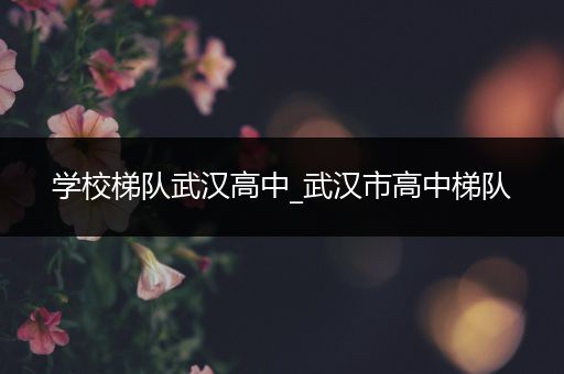 学校梯队武汉高中_武汉市高中梯队