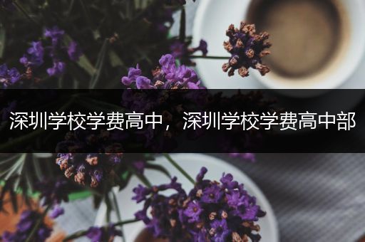 深圳学校学费高中，深圳学校学费高中部