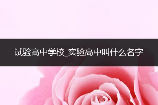 试验高中学校_实验高中叫什么名字