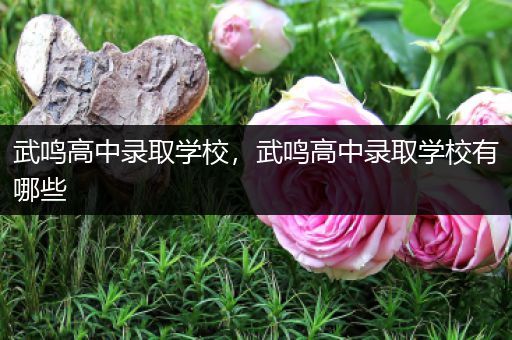 武鸣高中录取学校，武鸣高中录取学校有哪些