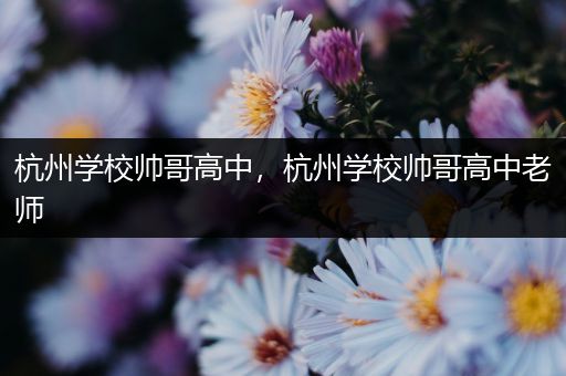 杭州学校帅哥高中，杭州学校帅哥高中老师
